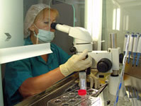Sperm preparation
