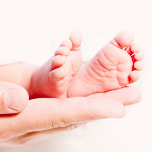 egg donation babies image egg donation babies image