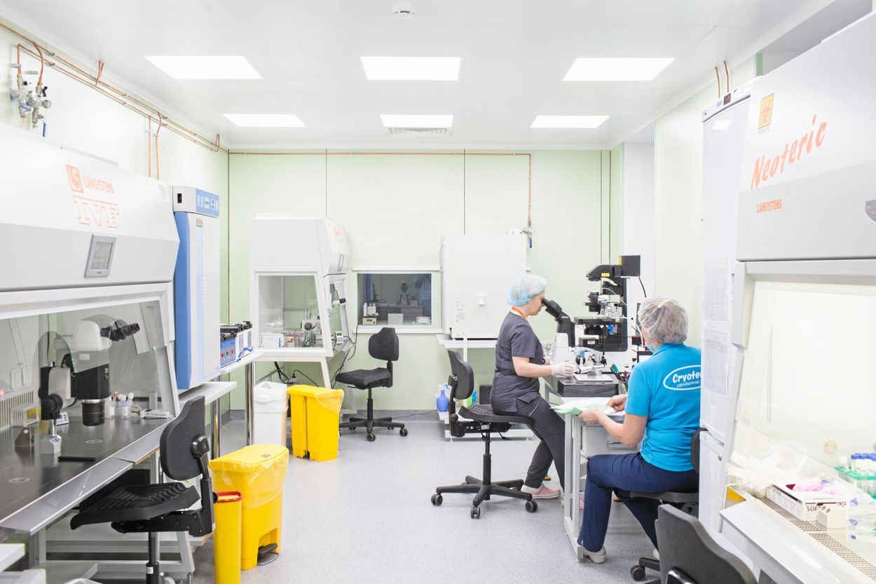 Anna Gusareva and Svetlana Shlykova work in the laboratory at the fertility clinic in Saint Petersburg. The donated egg visible on the screen belongs to Monika Oskarsson