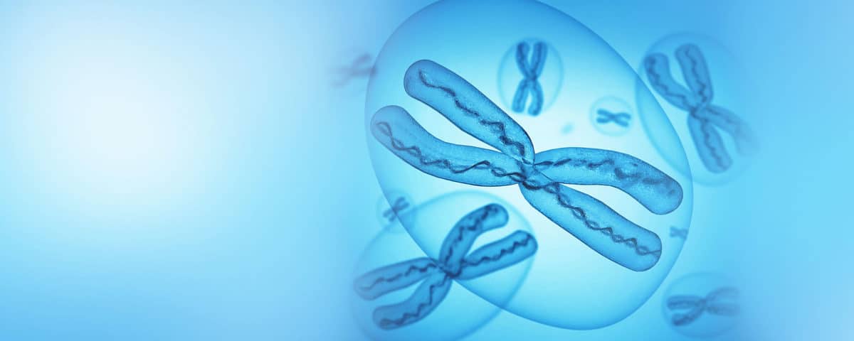 Chromosomal Screening of Embryos — PGT-A - O.L.G.A. Fertility